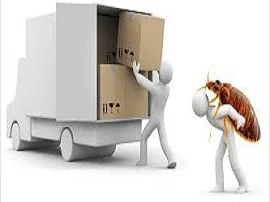 cevizlievdenevetasima cevizlievdenevetasima