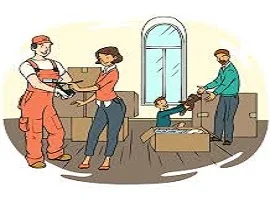 cevizlievesyasitasima cevizlievesyasitasima