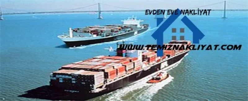 kurtkoyevdenevetasimacilik kurtkoyevdenevetasimacilik